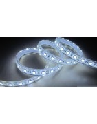 Ruban LED Blanc froid 6000K 5m IP68 Etanche 12V 150 leds SMD 5050 36W